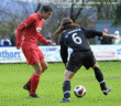 thm_Horas-SVS 11.11.07 04.gif